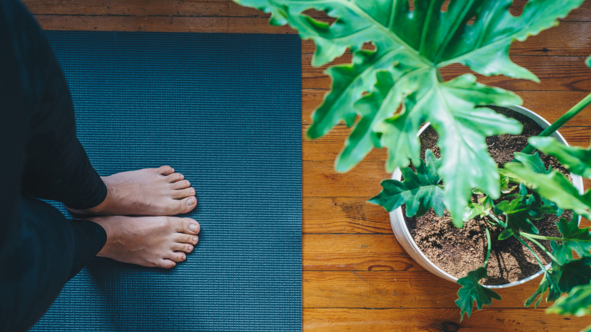 VIBE’s tips for how to start your yoga practice at home.